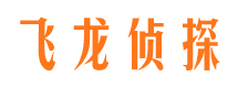 方城捉小三公司